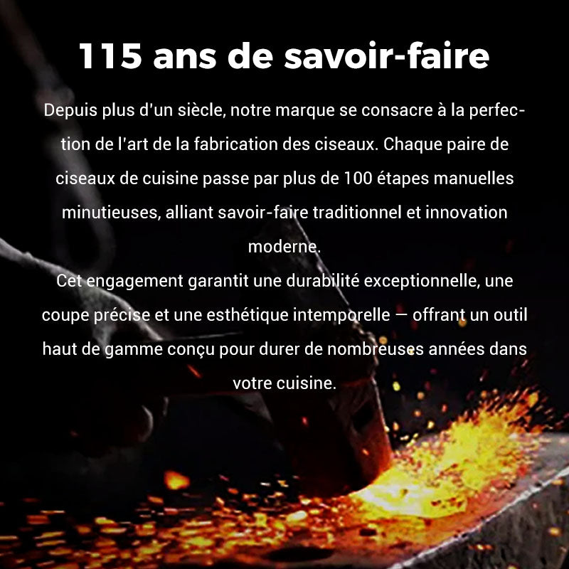 đ„Ciseaux de cuisine multifonctionnels et rĂ©sistants