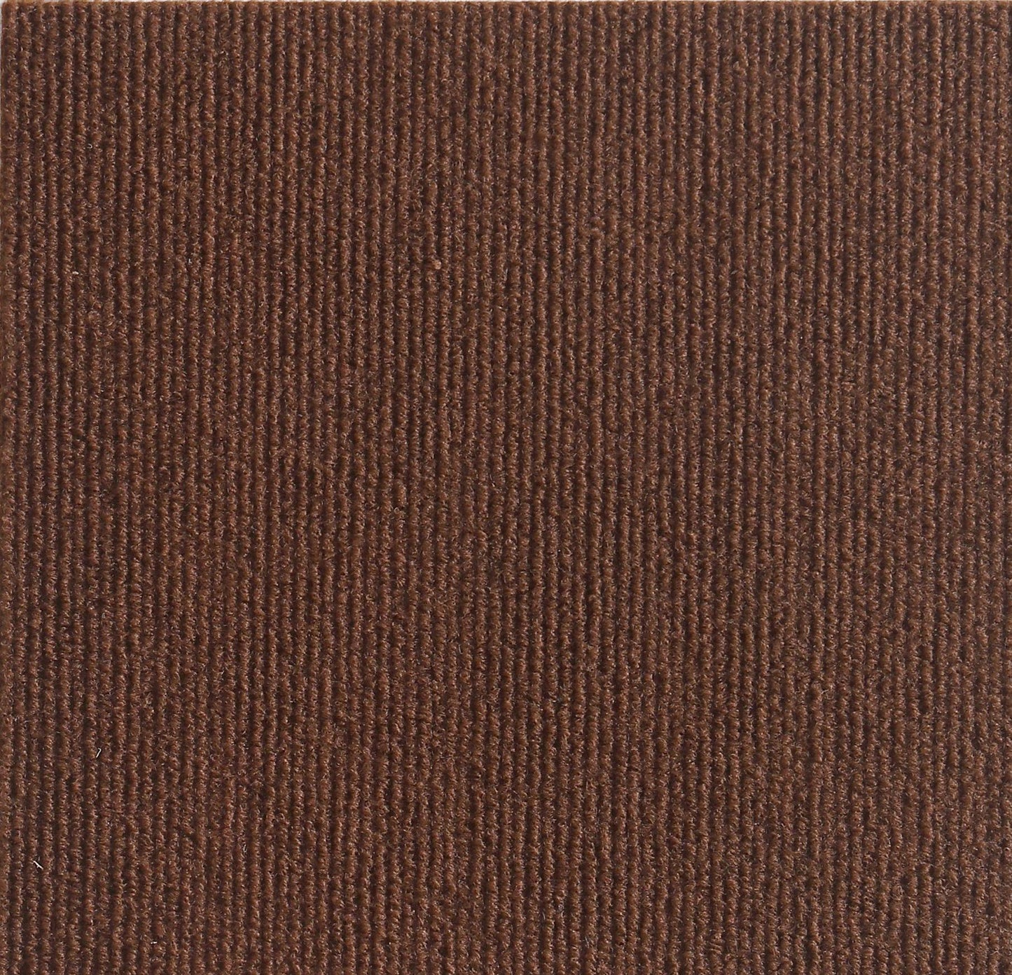 🔥Tapis protecteur adhésif anti-rayures pour chats