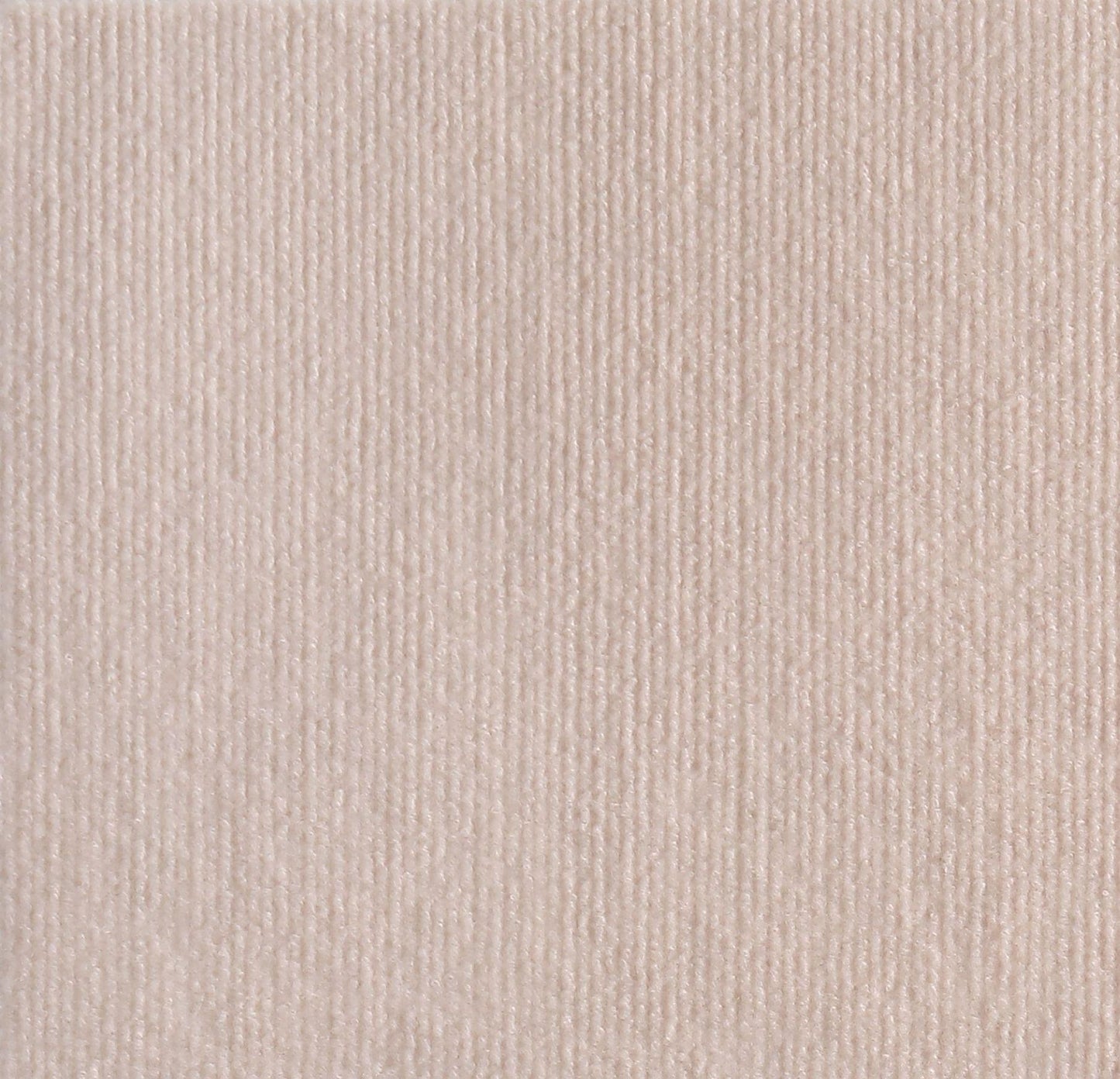 🔥Tapis protecteur adhésif anti-rayures pour chats