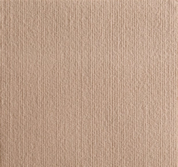 🔥Tapis protecteur adhésif anti-rayures pour chats