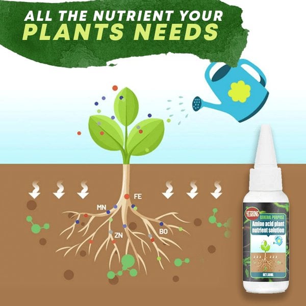 🔥Achetez-en 2, le 3e est offert (3 unités)🔥 Solution nutritive pour plantes