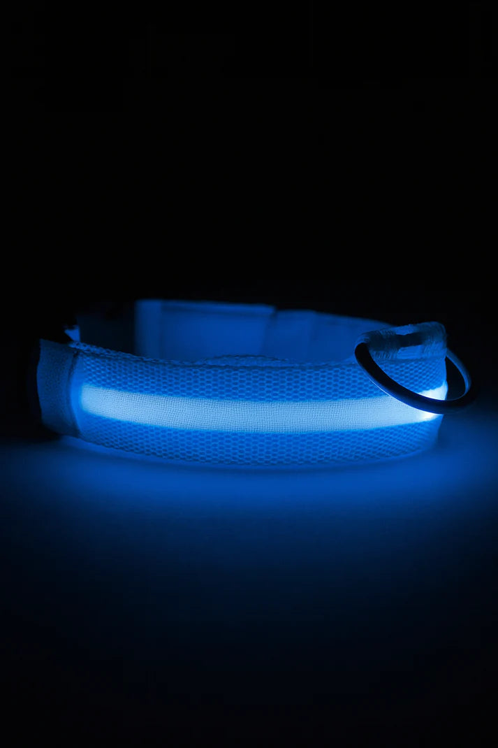 Collier LED réglable pour la sécurité des chiens