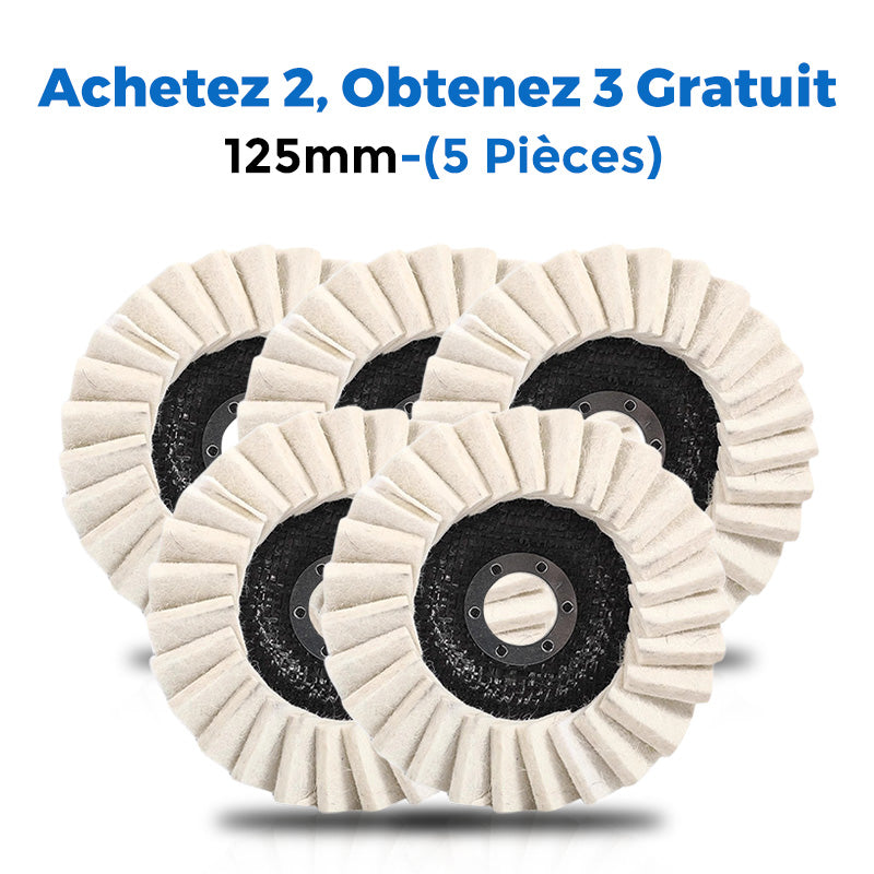 🎁Achetez 4 Obtenez 6 Gratuit ✨Disque de Polissage à Lamelles en Feutre de Laine