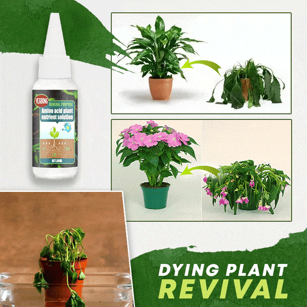 🔥Achetez-en 2, le 3e est offert (3 unités)🔥 Solution nutritive pour plantes