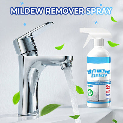 📢Durée limitée 68% de réduction✨Mold & Mildew Remover Spray🫧