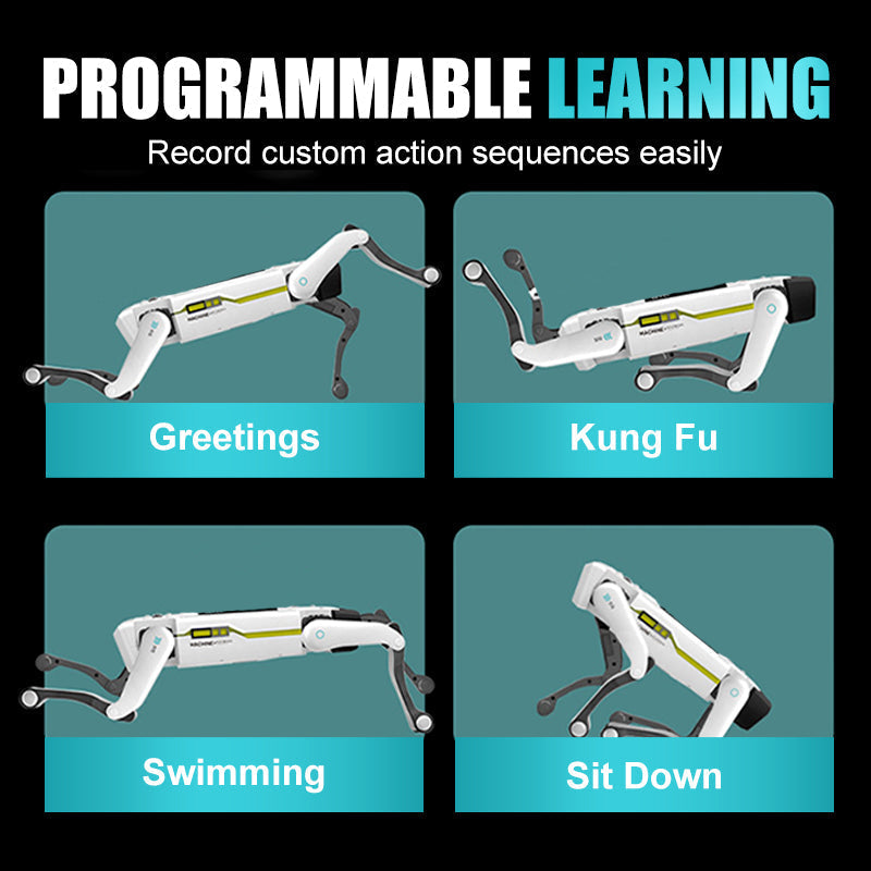 Chien robot intelligent interactif STEM