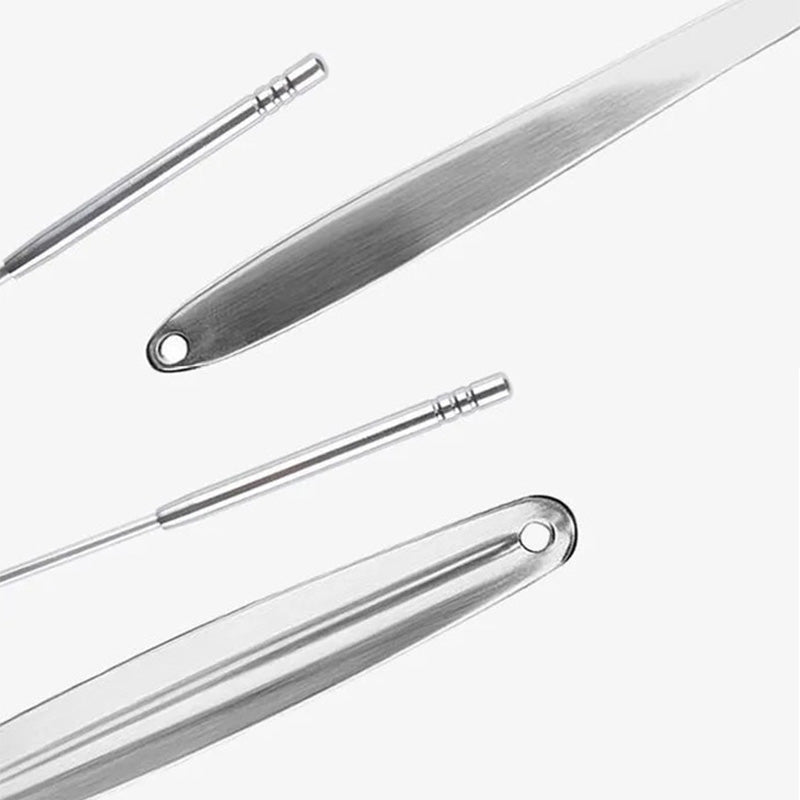 Ensemble de grattoirs de langue en acier inoxydable