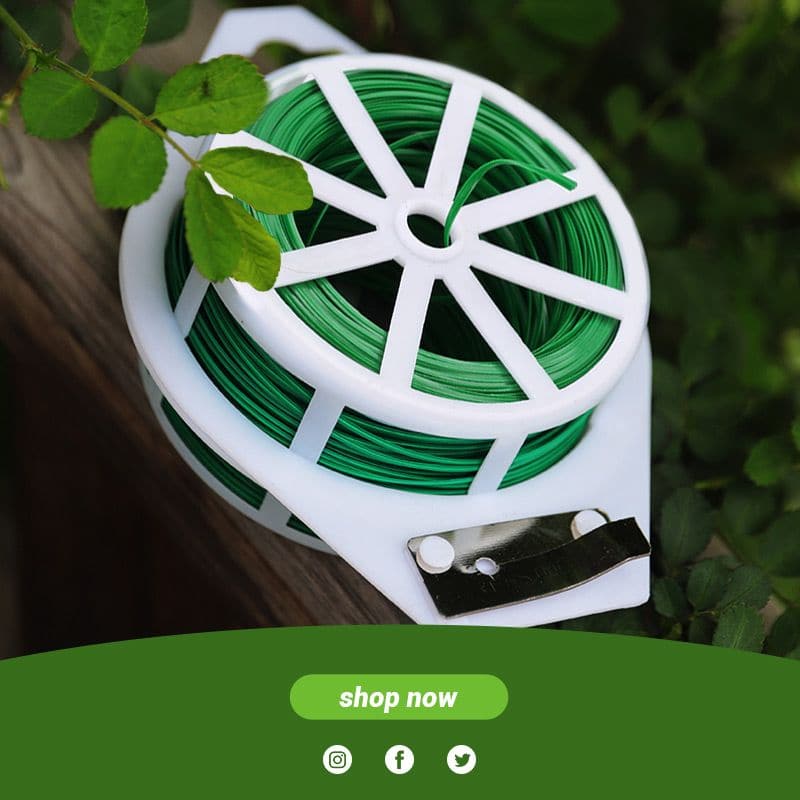 La torsion de jardin attache le fil avec une cisaille