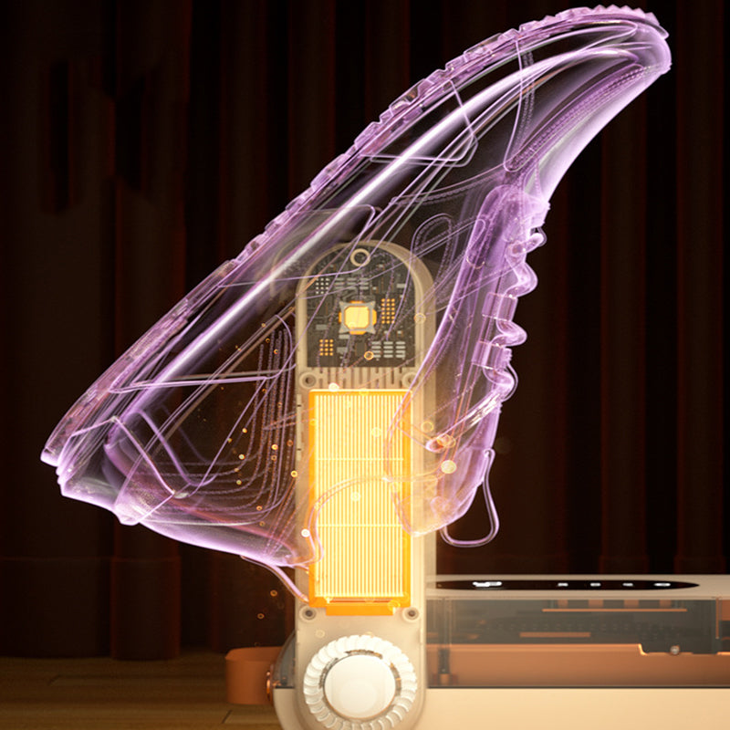 Séchoir de chaussures intelligent et déodorisateur