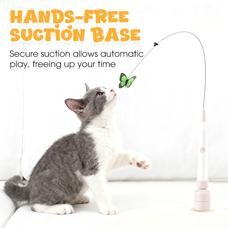 Jouet interactif amusant pour chat avec ventouse😻