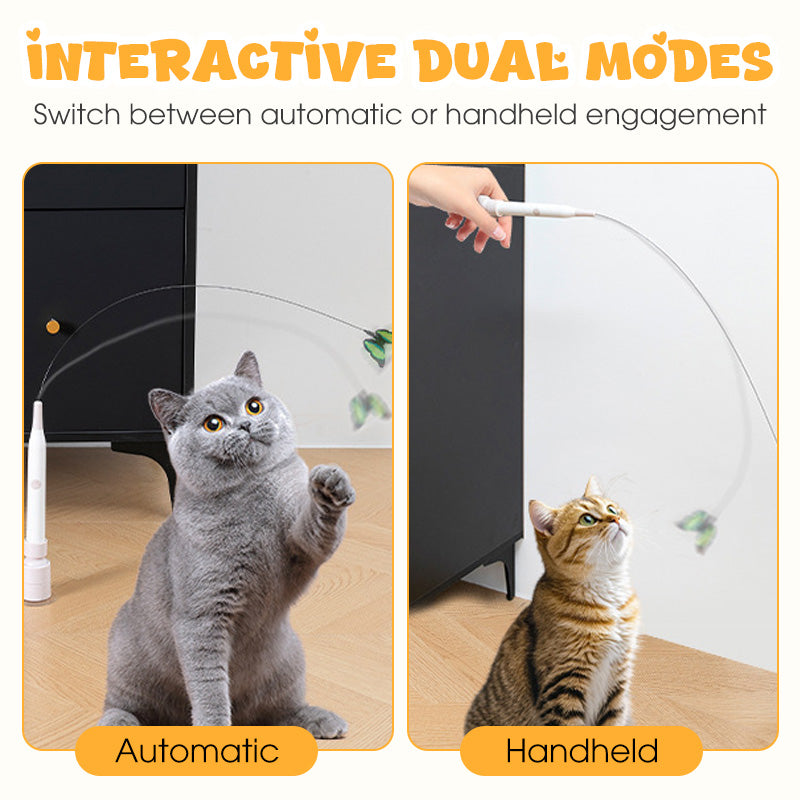 Jouet interactif amusant pour chat avec ventouse😻