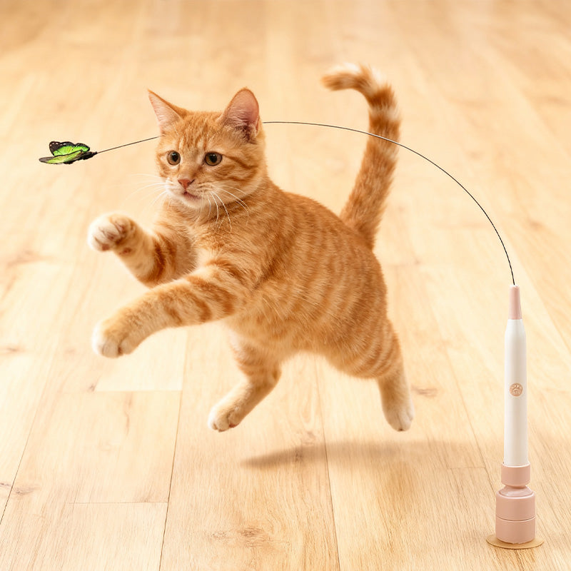 Jouet interactif amusant pour chat avec ventouse😻