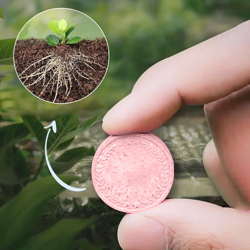 Multipurpose Slow-Release Tablet Fertilizer for Plants