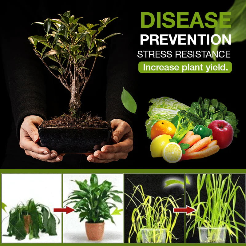 Trésor Activé par le sol- Vous Serez Etonné