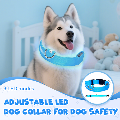 Collier LED réglable pour la sécurité des chiens