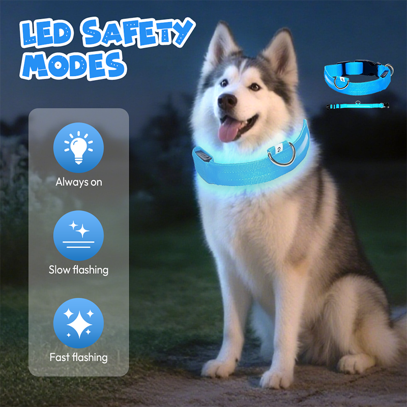 Collier LED réglable pour la sécurité des chiens