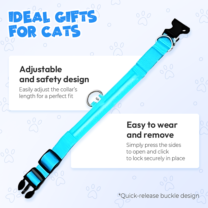 Collier LED réglable pour la sécurité des chiens