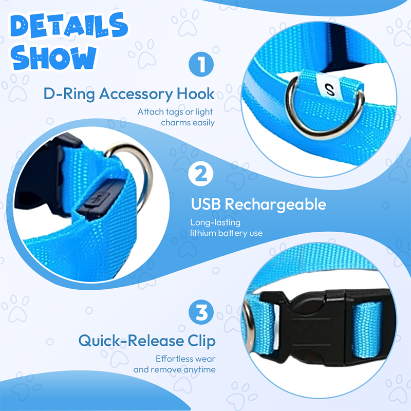 Collier LED réglable pour la sécurité des chiens