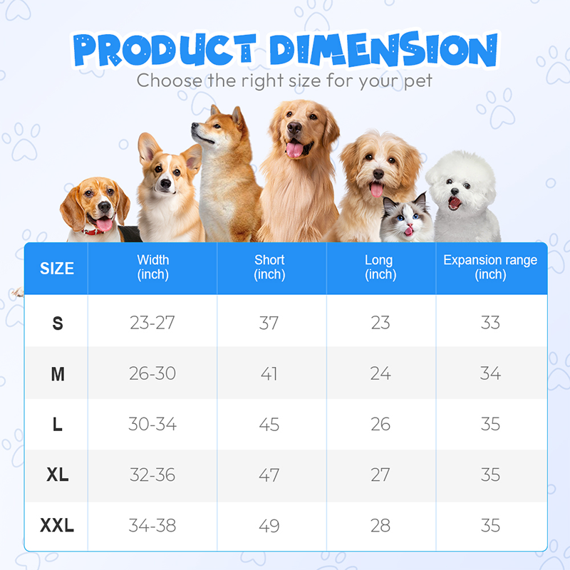 Collier LED réglable pour la sécurité des chiens