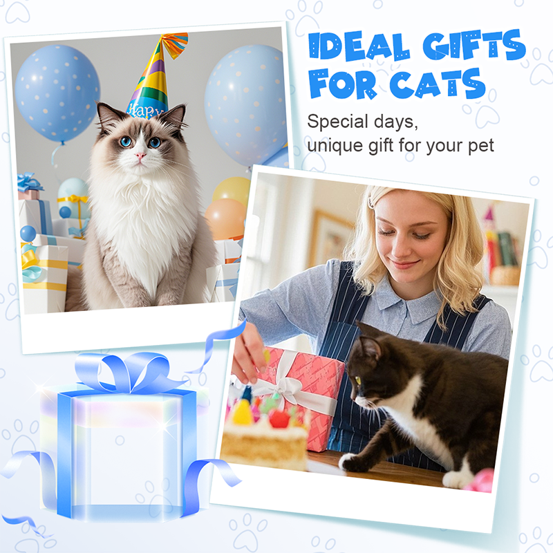 Collier LED réglable pour la sécurité des chiens