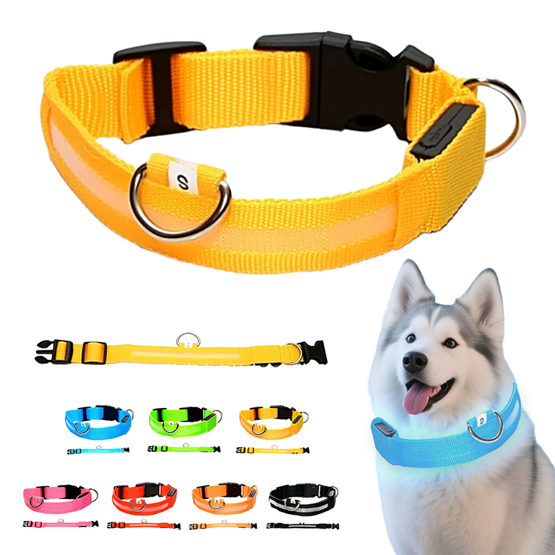 Collier LED réglable pour la sécurité des chiens