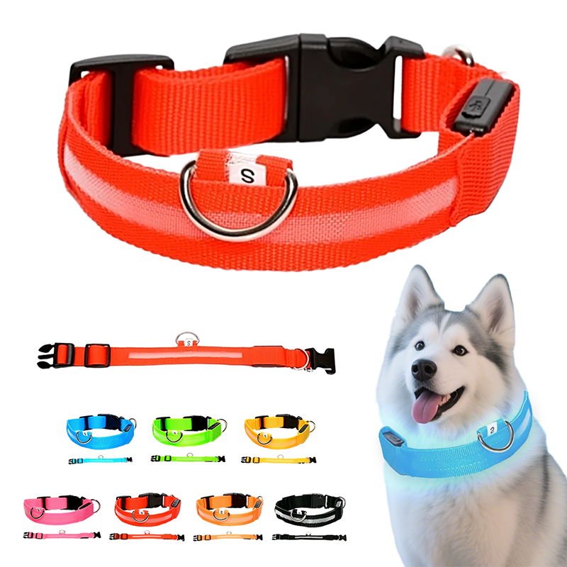 Collier LED réglable pour la sécurité des chiens