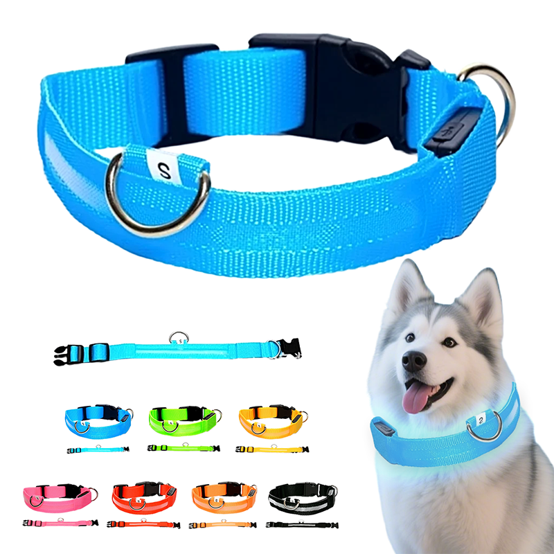 Collier LED réglable pour la sécurité des chiens