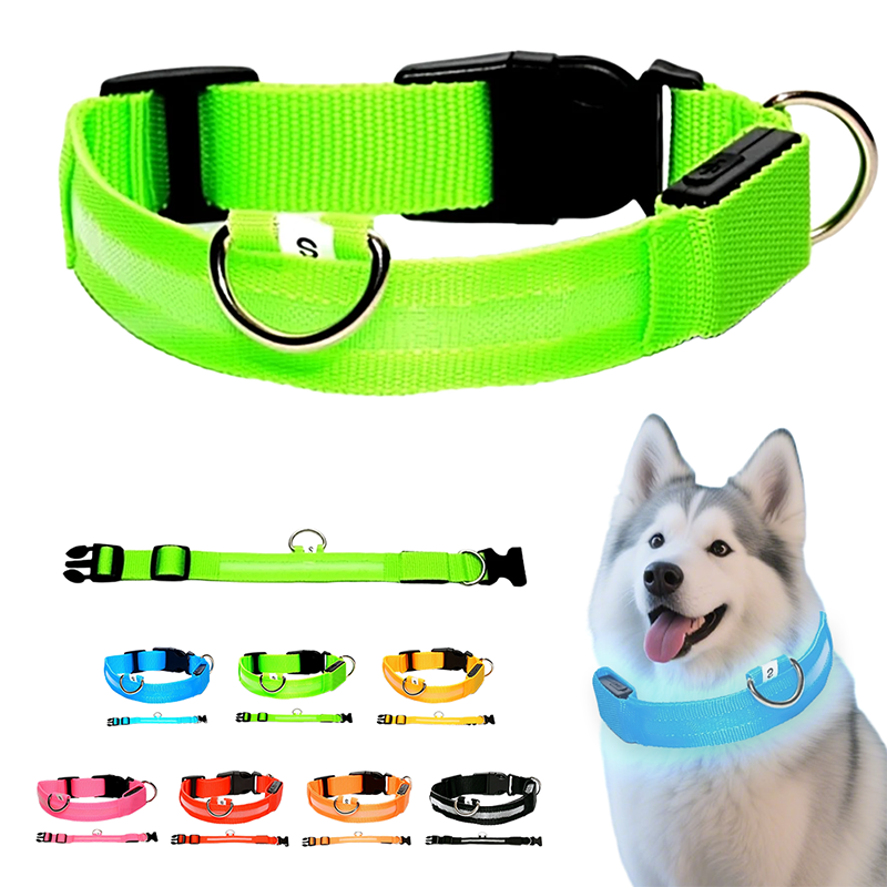 Collier LED réglable pour la sécurité des chiens