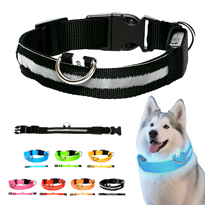 Collier LED réglable pour la sécurité des chiens
