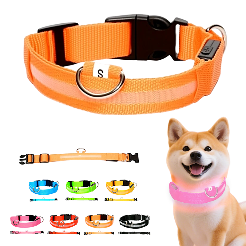 Collier LED réglable pour la sécurité des chiens