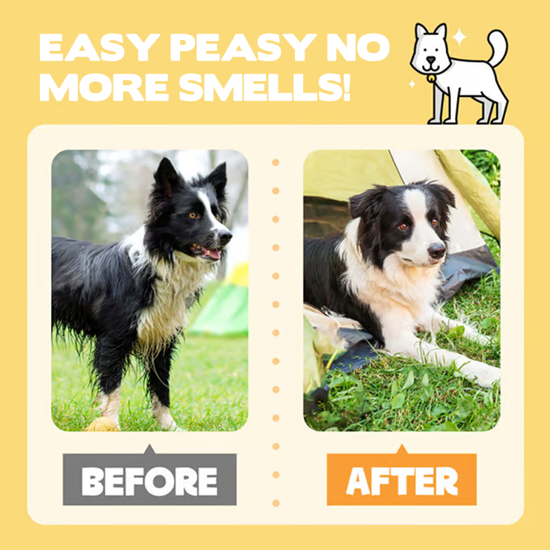 🔥 VENTE LIMITÉE – 50 % de réduction ! Gants de toilettage sans rinçage pour chiens et chats : neutralisent les odeurs, antibactériens & ultra-doux 🐾🧼