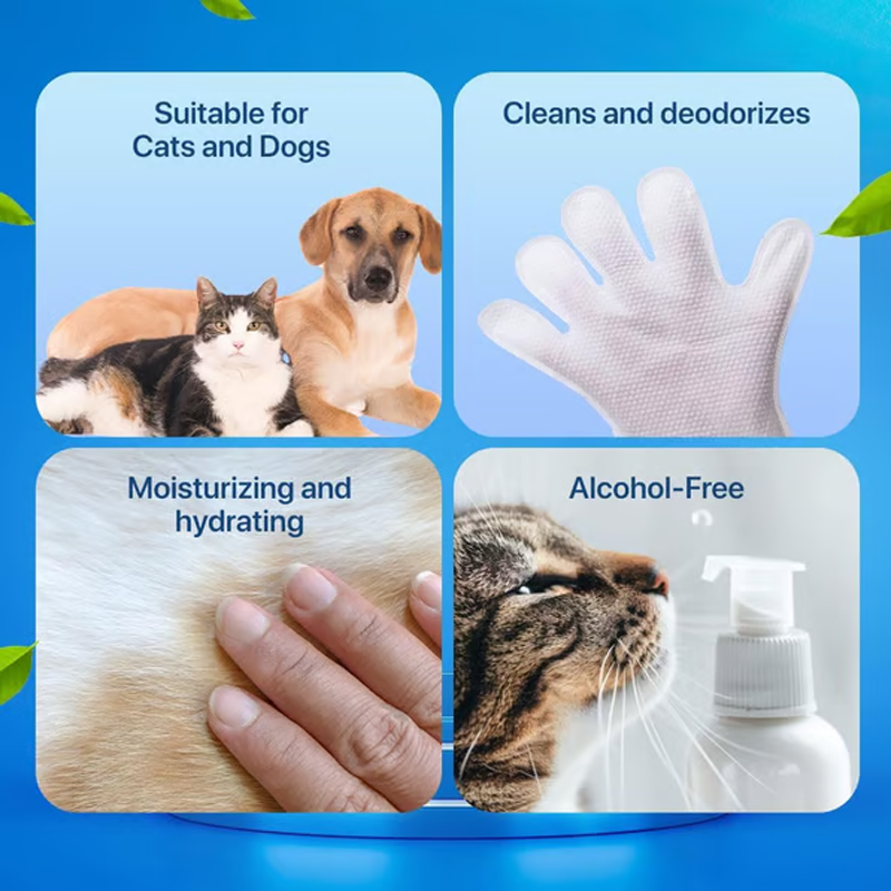 🔥 VENTE LIMITÉE – 50 % de réduction ! Gants de toilettage sans rinçage pour chiens et chats : neutralisent les odeurs, antibactériens & ultra-doux 🐾🧼