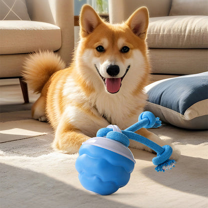⛄🎁Compagnon de Fêtes：62 % de réduction !!!  💖🐾Balle Interactive Électronique Apaisante pour Animaux de Compagnie – Trois Modes, Évitement des Obstacles & Plus! 🐶💡
