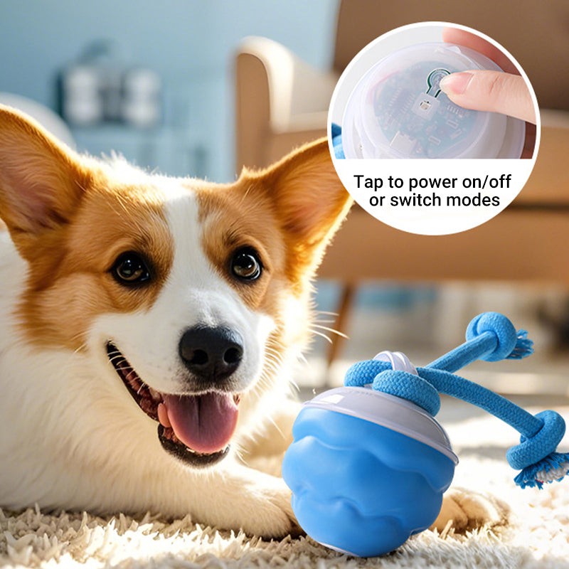 ⛄🎁Compagnon de Fêtes：62 % de réduction !!!  💖🐾Balle Interactive Électronique Apaisante pour Animaux de Compagnie – Trois Modes, Évitement des Obstacles & Plus! 🐶💡