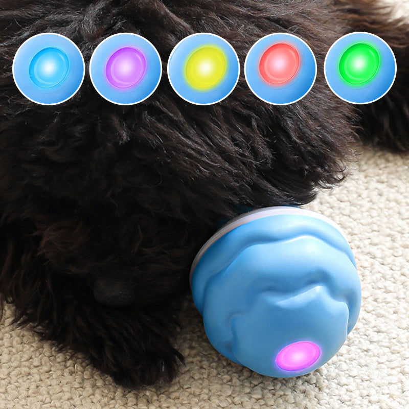 ⛄🎁Compagnon de Fêtes：62 % de réduction !!!  💖🐾Balle Interactive Électronique Apaisante pour Animaux de Compagnie – Trois Modes, Évitement des Obstacles & Plus! 🐶💡