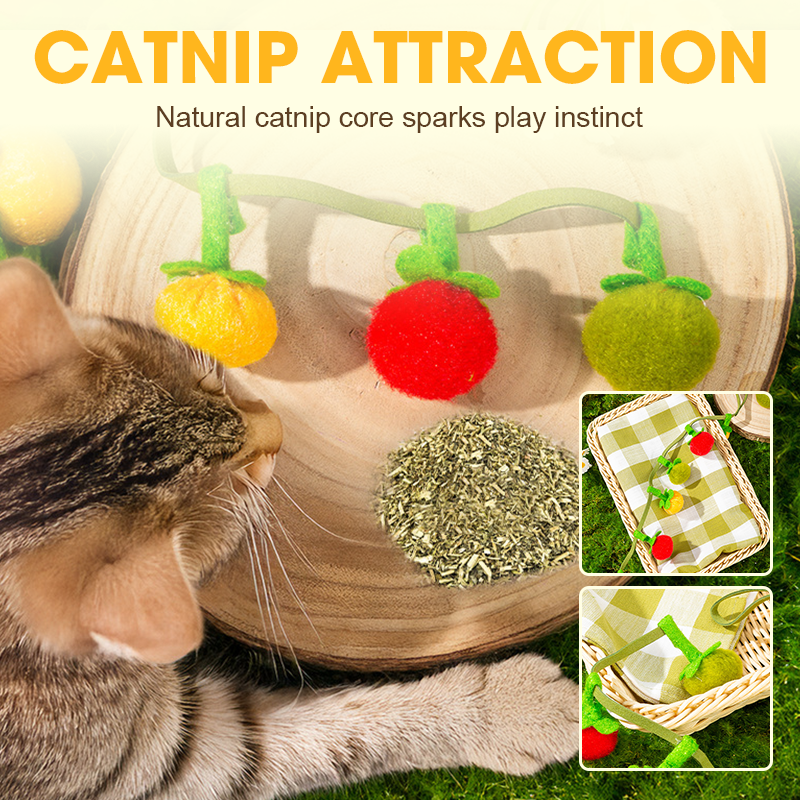Ficelle interactive en forme de fruit pour chat