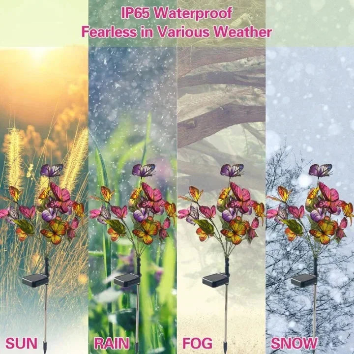 🦋Lumières solaires extérieures en forme de papillon💐