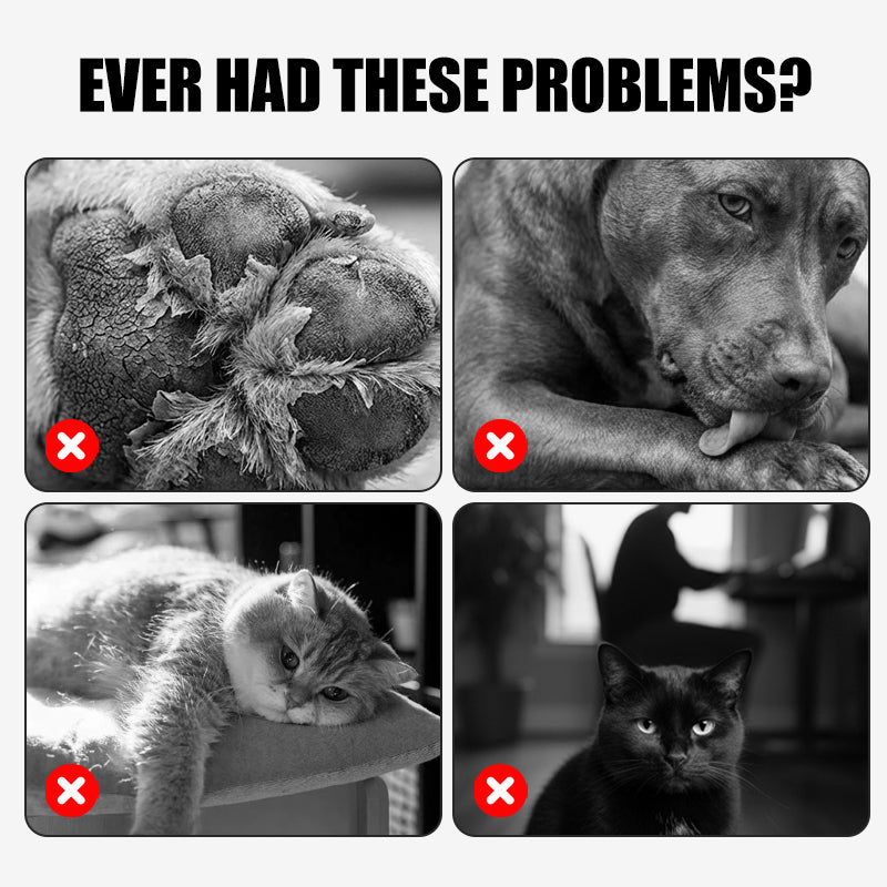 Baume apaisant pour pattes gercées de chiens et chats