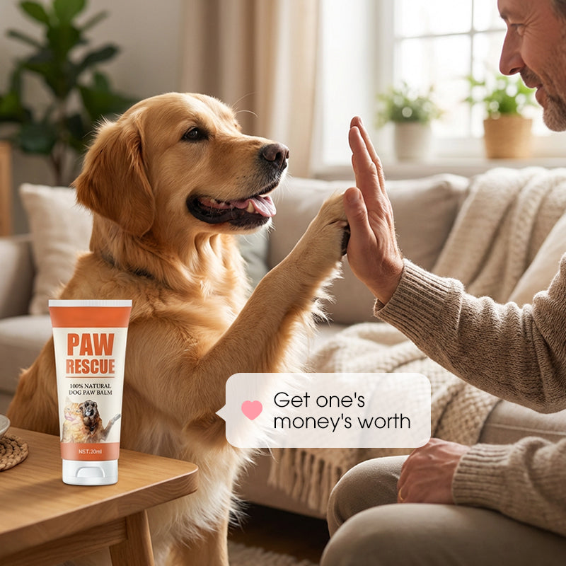 Baume apaisant pour pattes gercées de chiens et chats