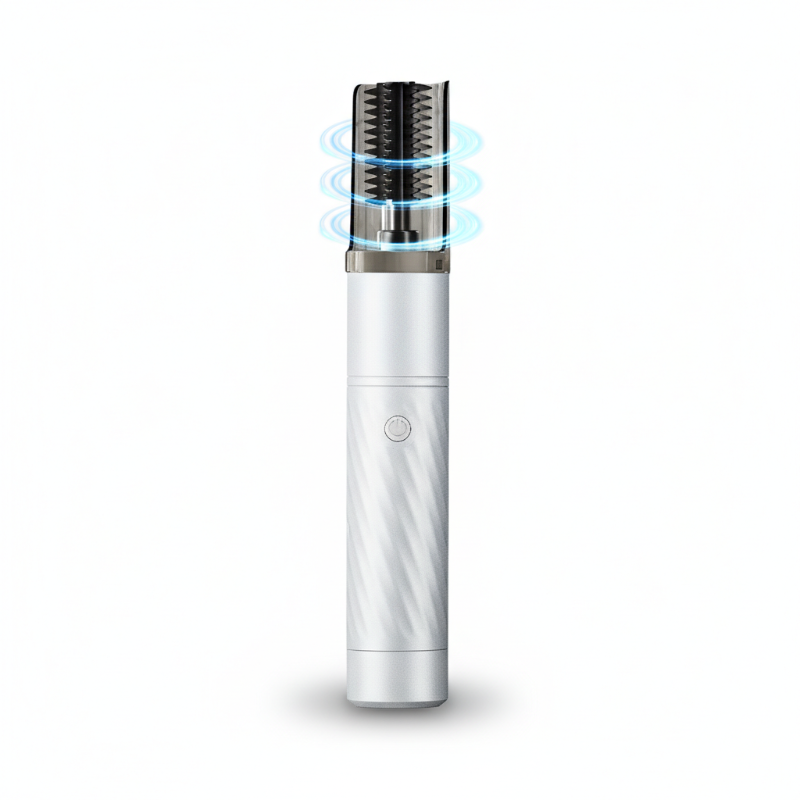 Outil rechargeable et automatique pour écailler les poissons