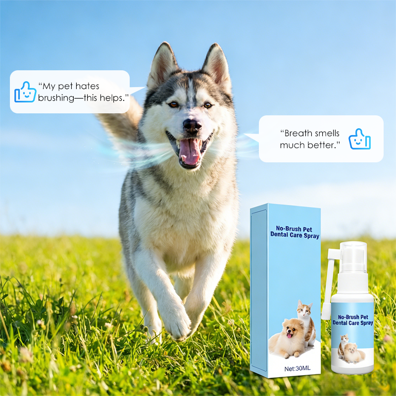 🔥 Nouveautés 2026 : 50 % de réduction pour une durée limitée !🔥Spray dentaire sans brosse pour animaux de compagnie