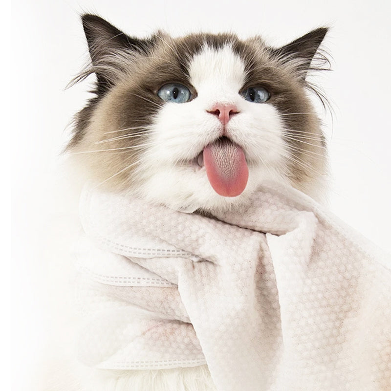 Gants Nettoyants Doux Sans Rinçage pour Animaux