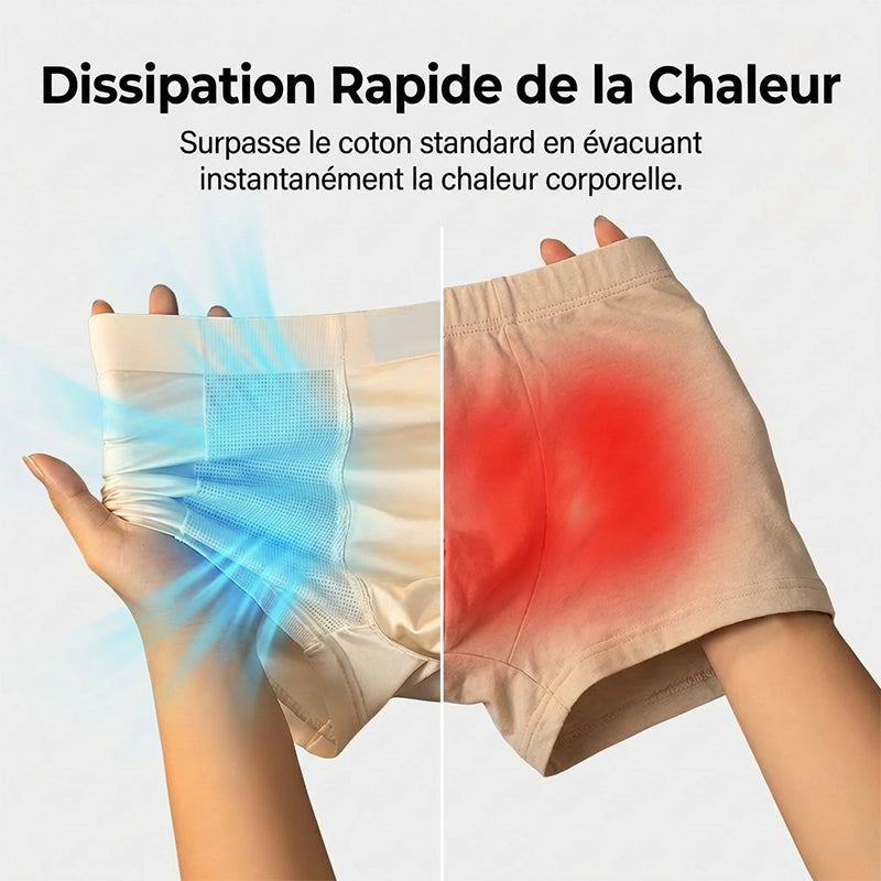 Boxers respirants en maille pour hommes