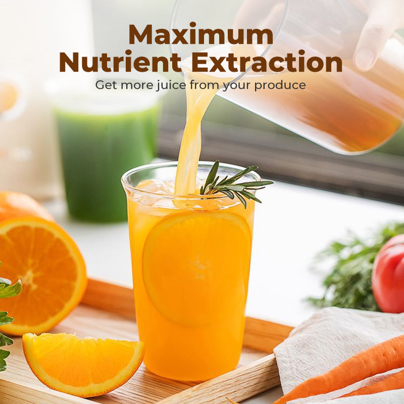 Extracteur de jus à bouche large pour fruits entiers
