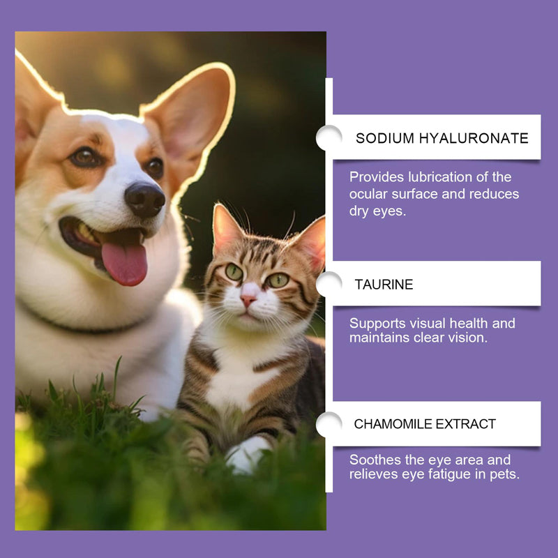 🌿Lotion oculaire douce pour chiens et chats🐶🐱