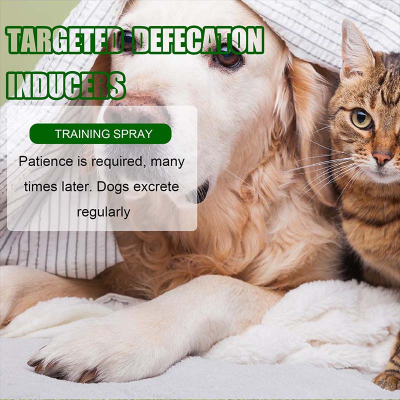Pet Positioning Defecation Inducer Spray