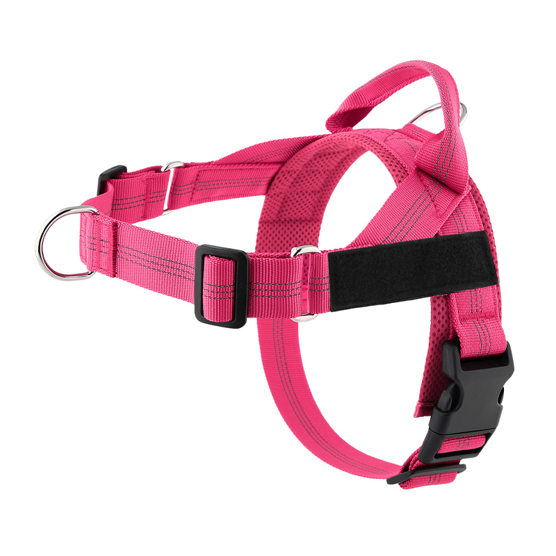 🐶 50 % DE RÉDUCTION MAINTENANT ! 🐾 Harnais rembourré pour chien, facile à mettre et à enlever – Anti-traction et respirant – Sûr et confortable 🌿
