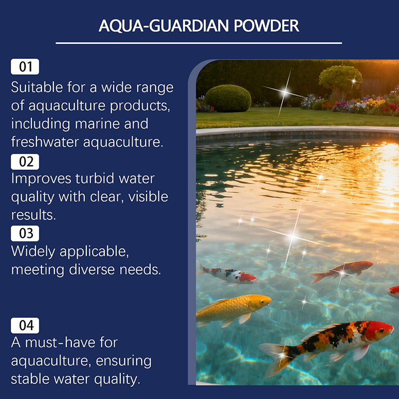 🐠 ACHETEZ 2, OBTENEZ 1 GRATUIT ! ✨ Poudre Clarifiante Aqua – Purifie l'Eau, 100g, Sûre ✨