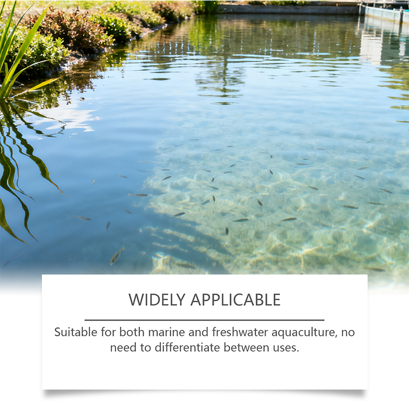 🐠 ACHETEZ 2, OBTENEZ 1 GRATUIT ! ✨ Poudre Clarifiante Aqua – Purifie l'Eau, 100g, Sûre ✨
