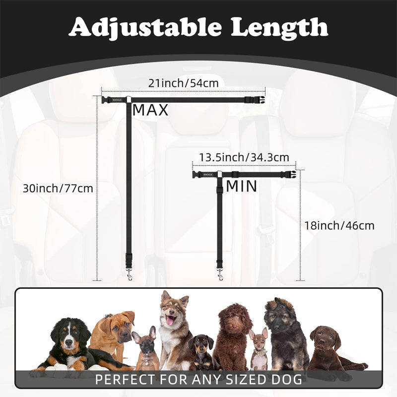 Ceinture de sécurité auto et laisse de promenade 2 en 1 pour chien